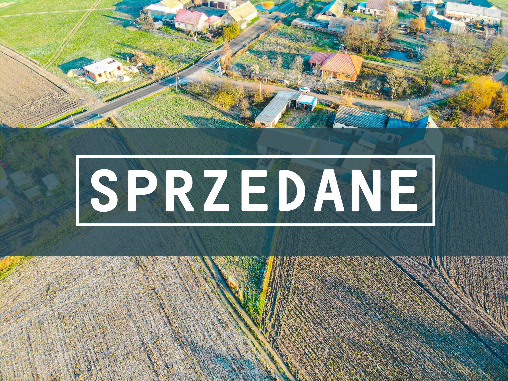 ee4aec_agencja3000_zs_277_75.jpg