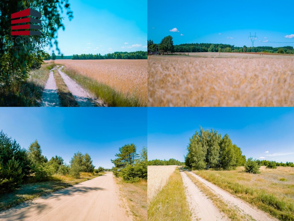ee4aec_agencja3000_zs_338_222.jpg