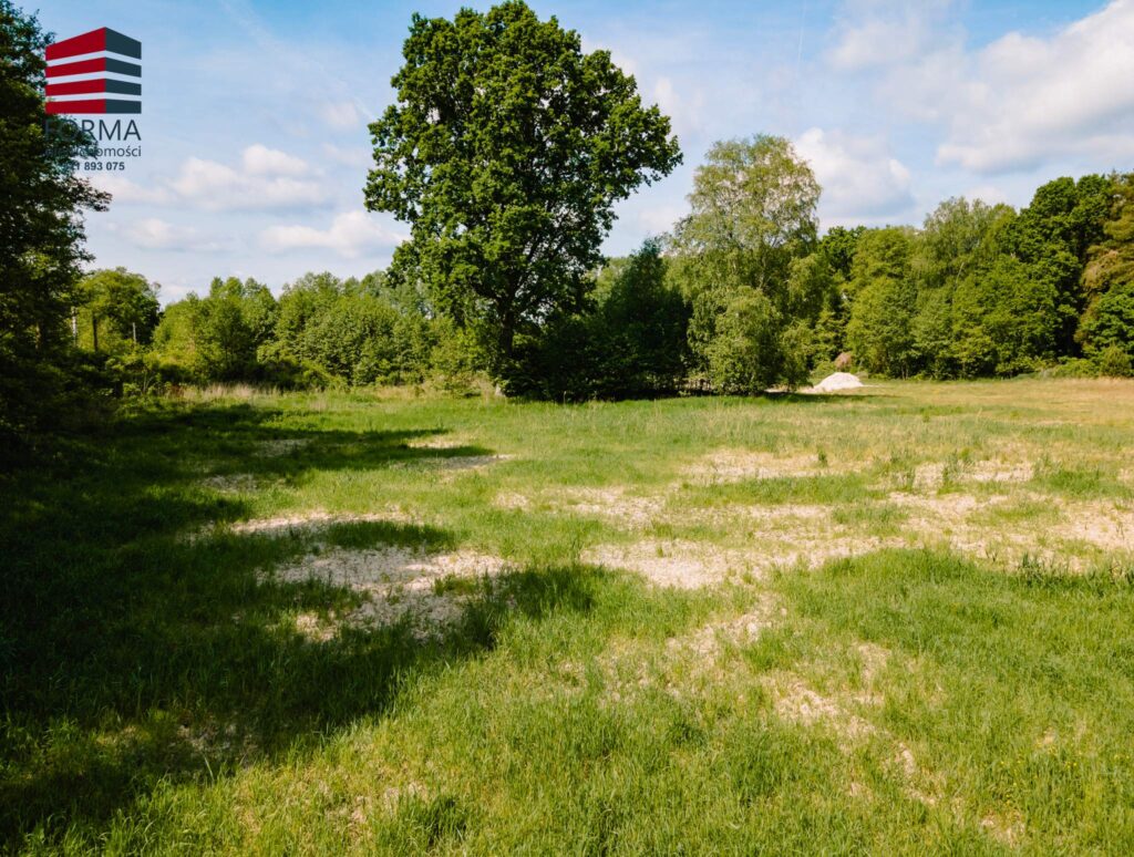 ee4aec_agencja3000_zs_453_451.jpg