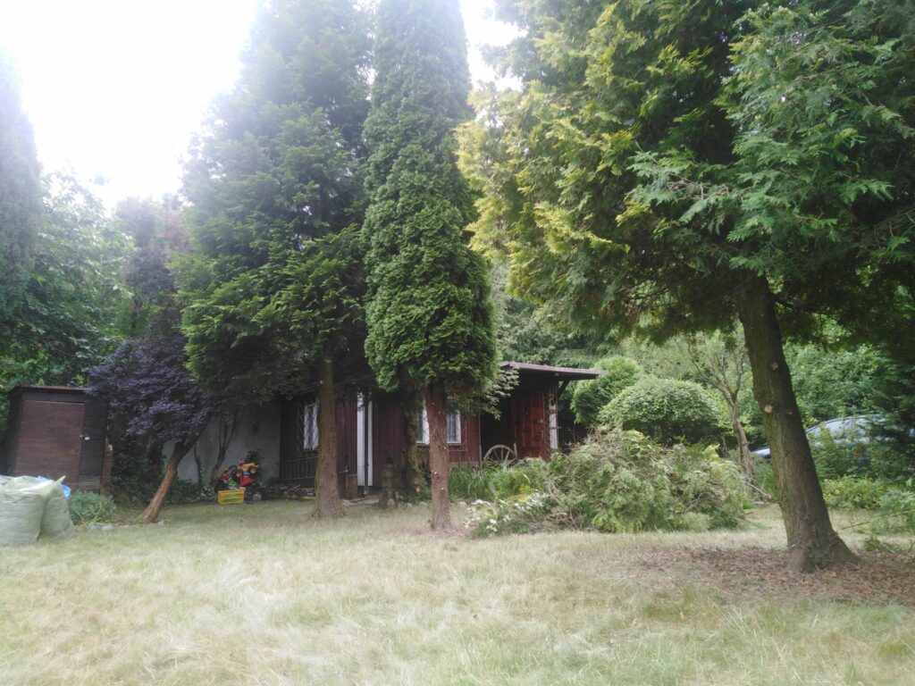 ee4aec_agencja3000_zs_486_499.jpg
