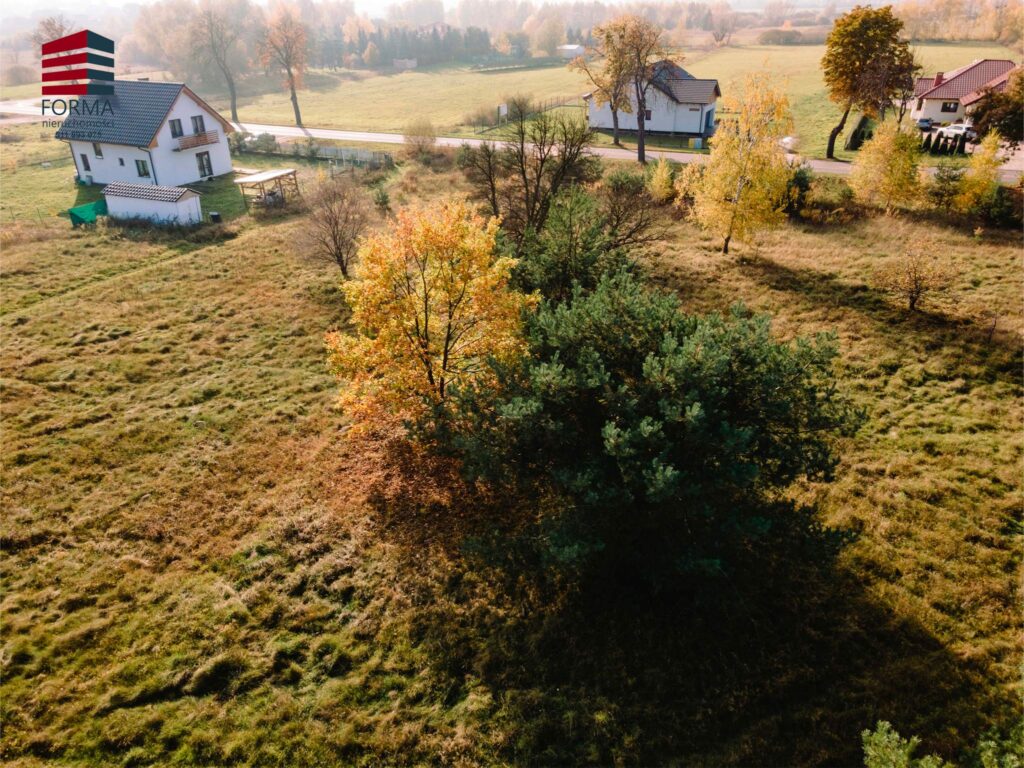 ee4aec_agencja3000_zs_525_628.jpg