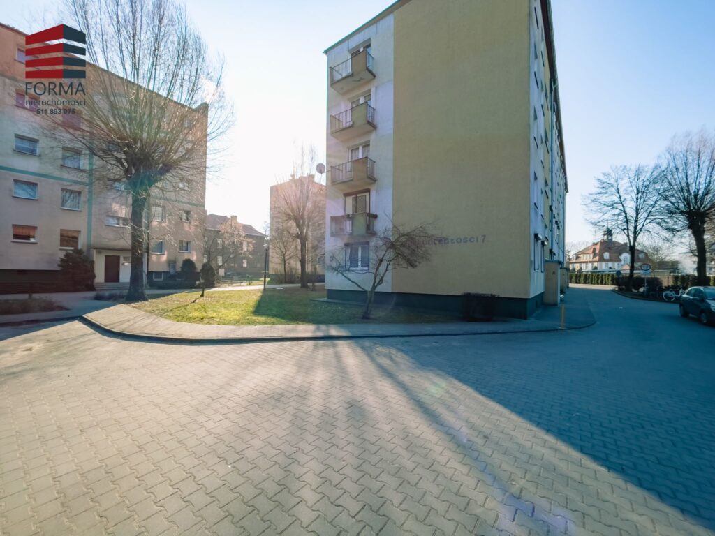 ee4aec_agencja3000_ms_547_168.jpg