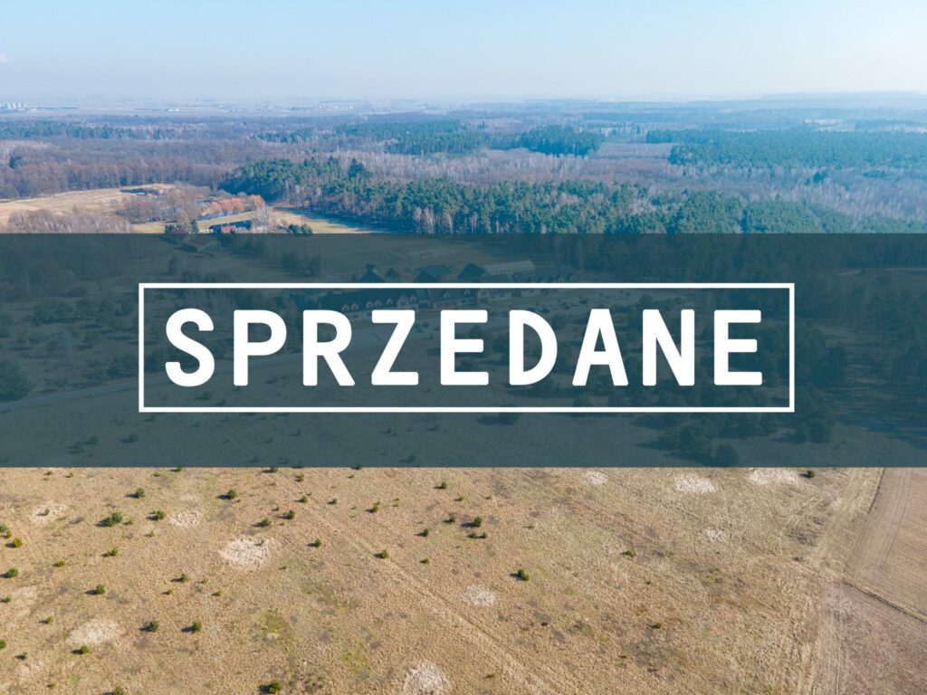 ee4aec_agencja3000_zs_221-1_93.jpg