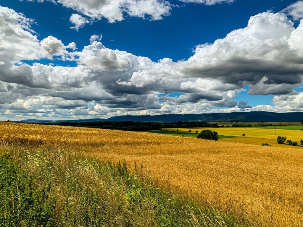 ee4aec_agencja3000_zs_516_352.jpg
