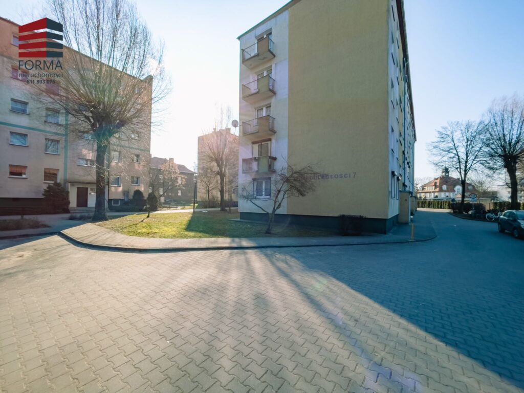 ee4aec_agencja3000_ms_547_153.jpg