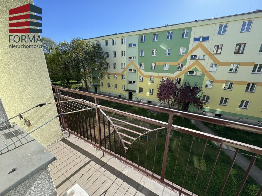 ee4aec_agencja3000_ms_829_305.jpeg