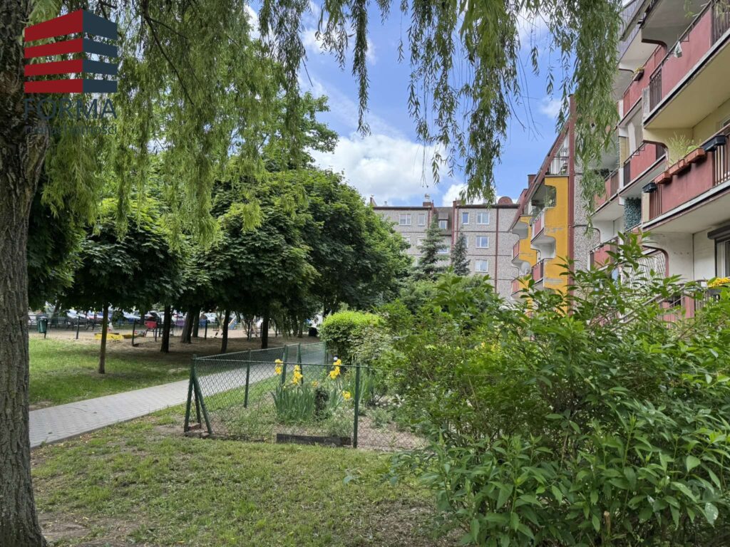 ee4aec_agencja3000_ms_832_323.jpeg